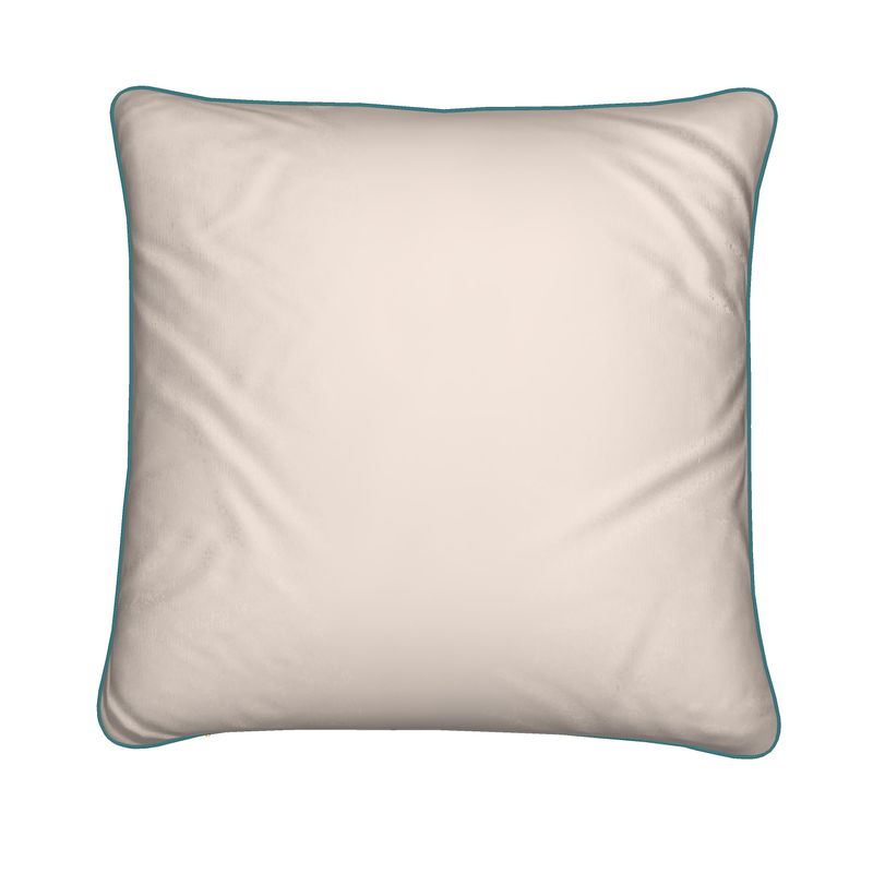 Cushions in house face colour 2